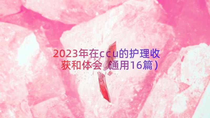 2023年在ccu的护理收获和体会（通用16篇）