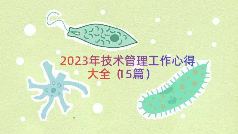 2023年技术管理工作心得大全（15篇）