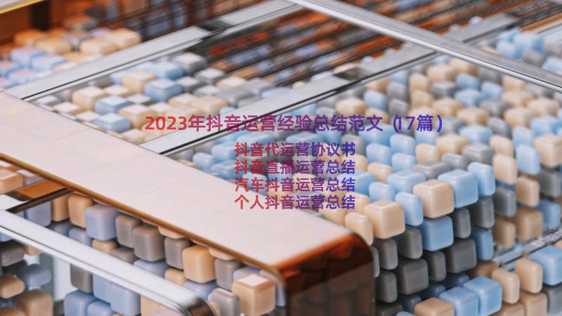 2023年抖音运营经验总结范文（17篇）