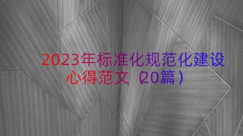 2023年标准化规范化建设心得范文（20篇）