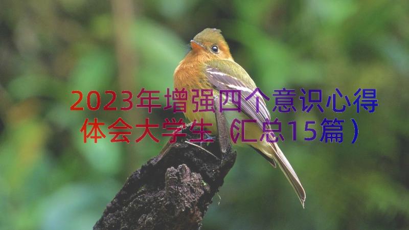 2023年增强四个意识心得体会大学生（汇总15篇）