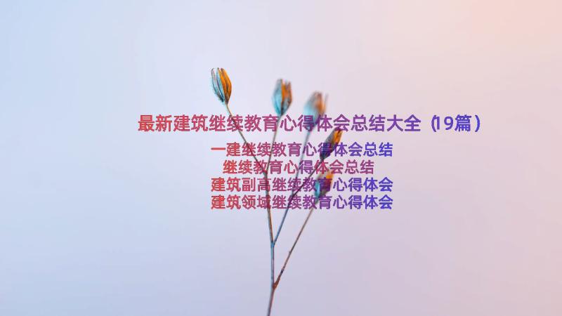 最新建筑继续教育心得体会总结大全（19篇）