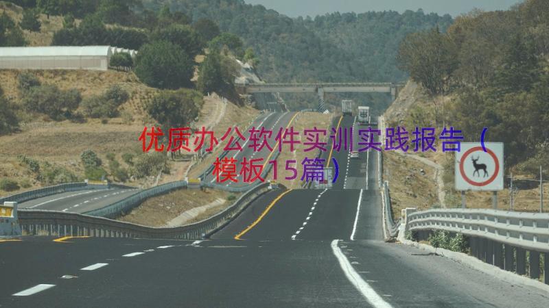 优质办公软件实训实践报告（模板15篇）