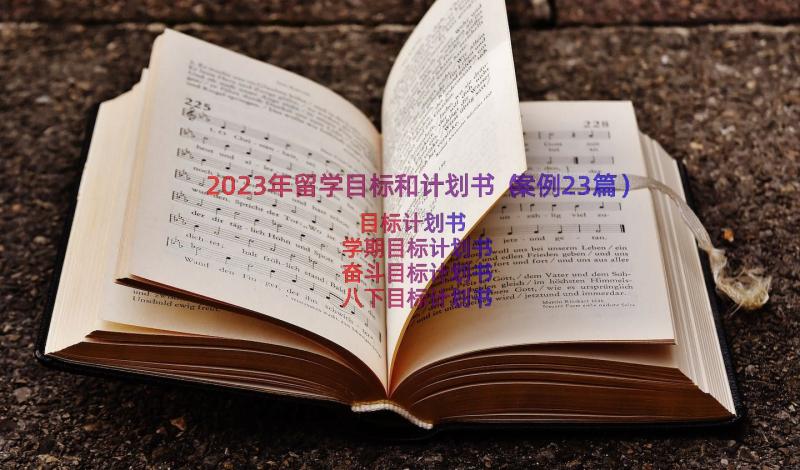 2023年留学目标和计划书（案例23篇）