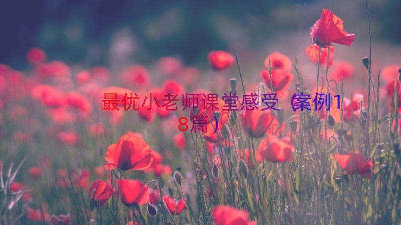 最优小老师课堂感受（案例18篇）