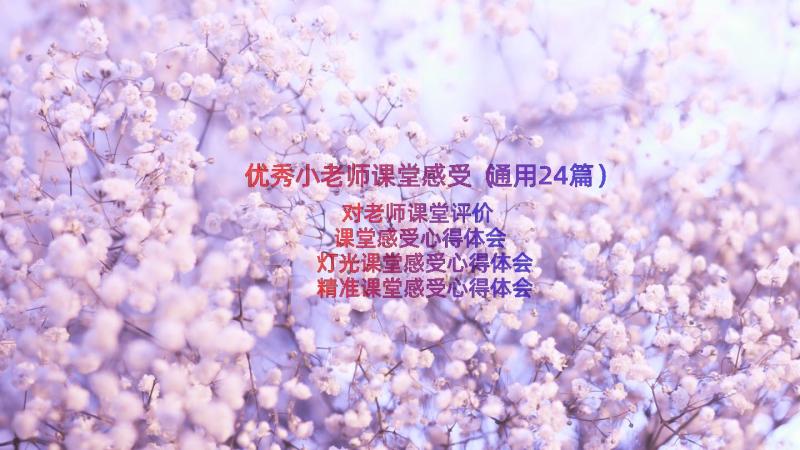 优秀小老师课堂感受（通用24篇）