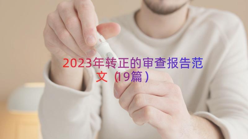 2023年转正的审查报告范文（19篇）