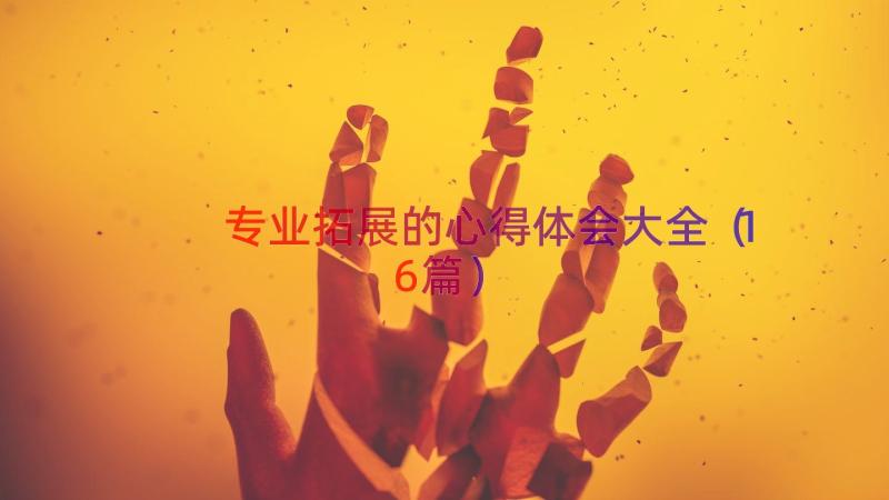 专业拓展的心得体会大全（16篇）