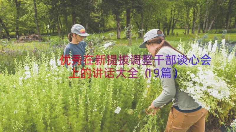 优秀在新提拔调整干部谈心会上的讲话大全（19篇）