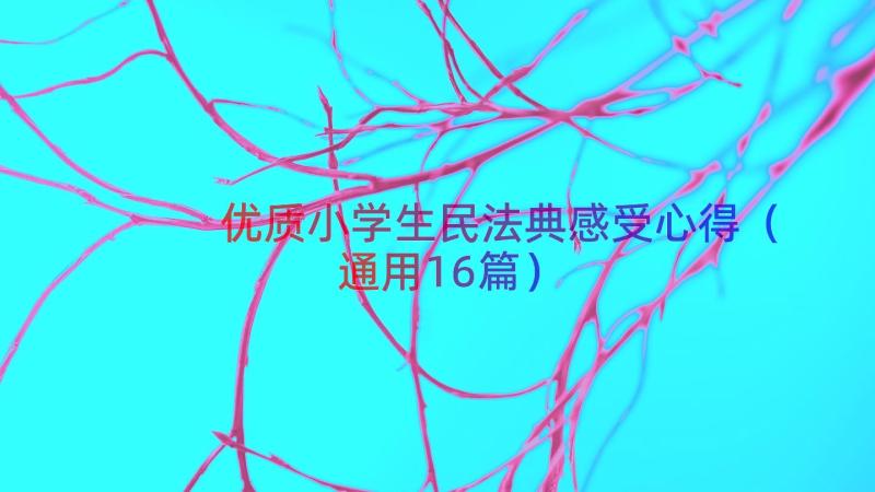 优质小学生民法典感受心得（通用16篇）