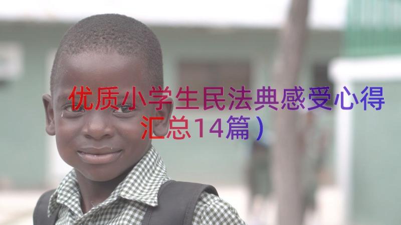 优质小学生民法典感受心得（汇总14篇）