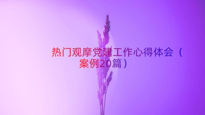 热门观摩党建工作心得体会（案例20篇）