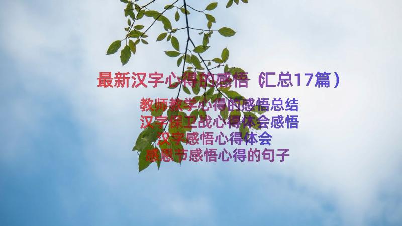 最新汉字心得的感悟（汇总17篇）