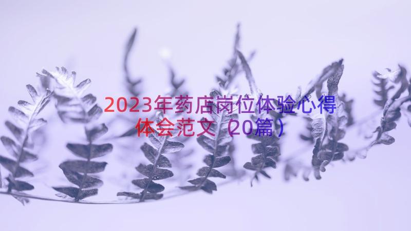 2023年药店岗位体验心得体会范文（20篇）