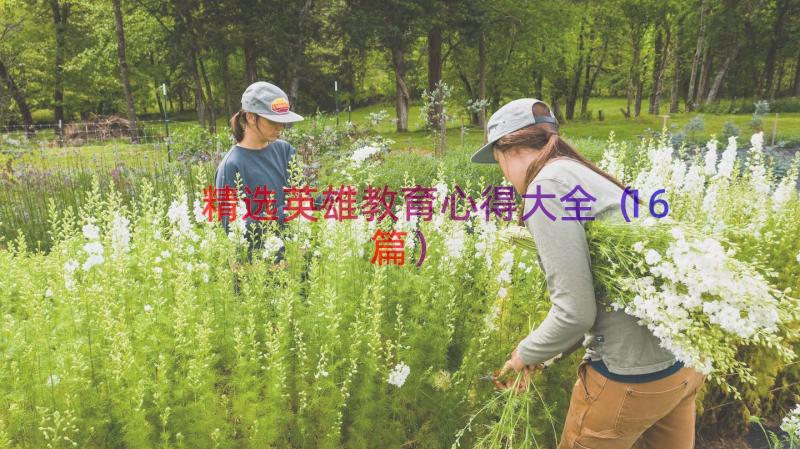 精选英雄教育心得大全（16篇）