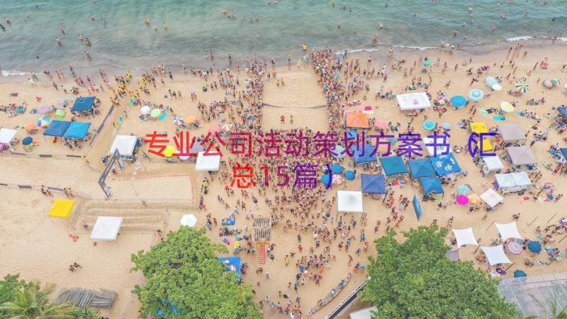 专业公司活动策划方案书（汇总15篇）