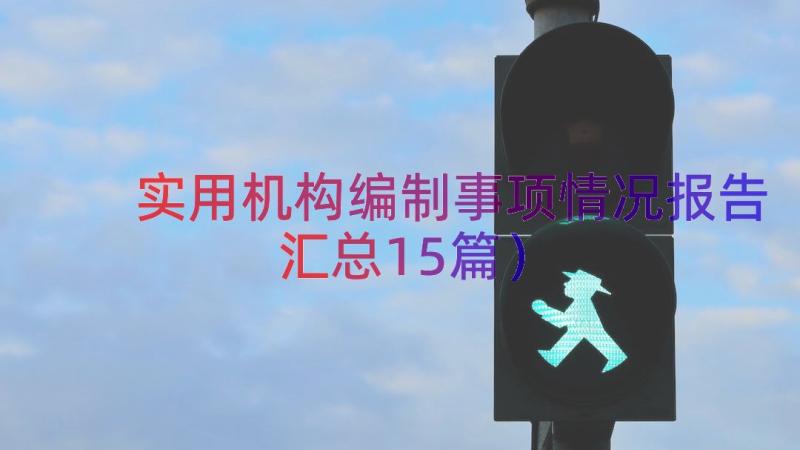 实用机构编制事项情况报告（汇总15篇）