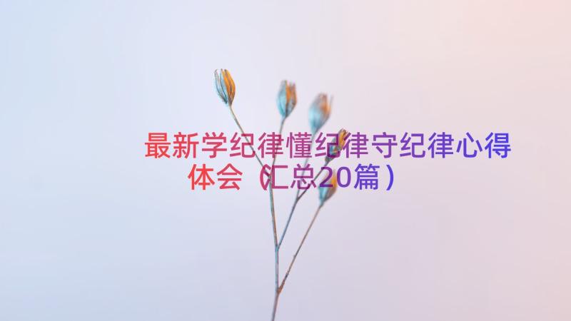 最新学纪律懂纪律守纪律心得体会（汇总20篇）