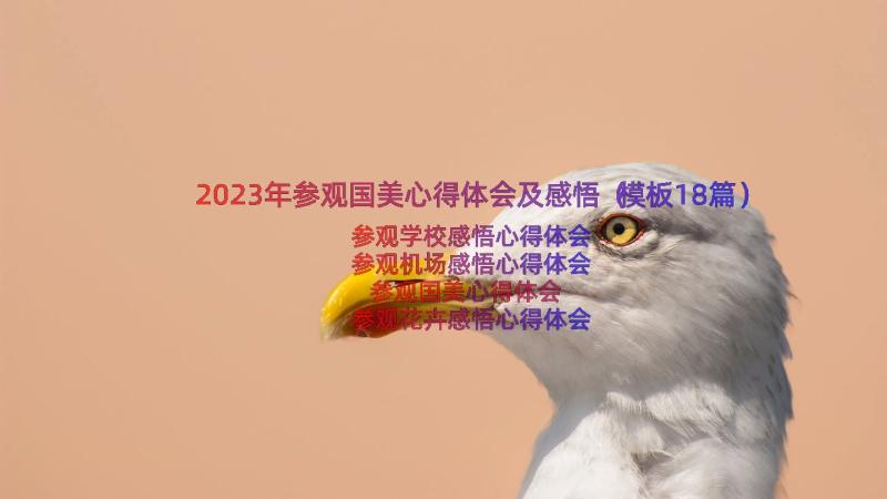 2023年参观国美心得体会及感悟（模板18篇）