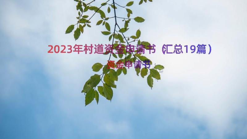 2023年村道资金申请书（汇总19篇）