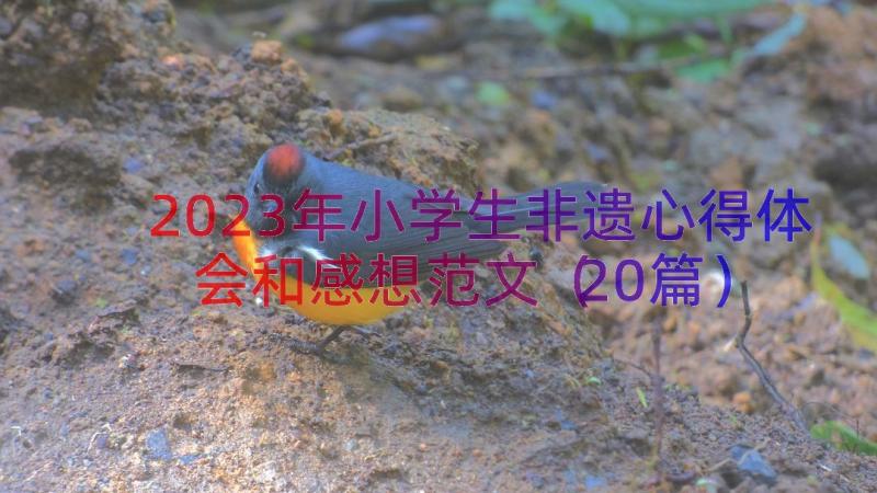 2023年小学生非遗心得体会和感想范文（20篇）