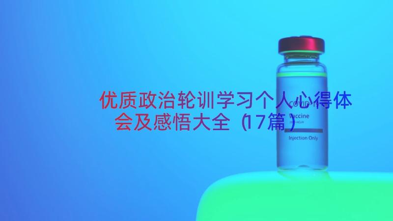 优质政治轮训学习个人心得体会及感悟大全（17篇）