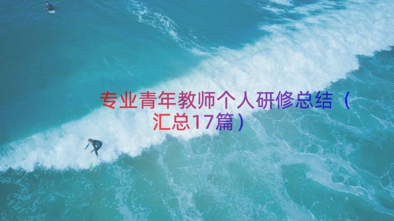 专业青年教师个人研修总结（汇总17篇）