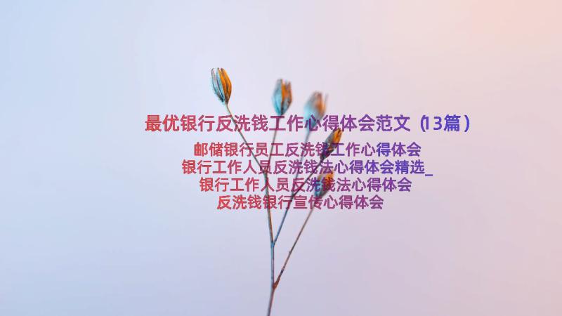 最优银行反洗钱工作心得体会范文（13篇）