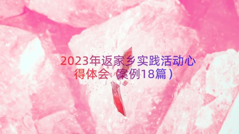 2023年返家乡实践活动心得体会（案例18篇）