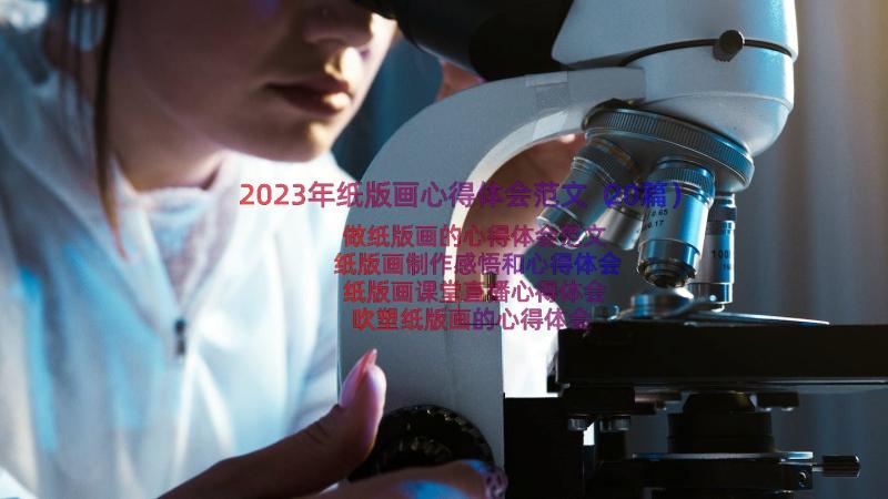 2023年纸版画心得体会范文（20篇）