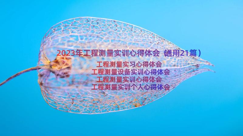 2023年工程测量实训心得体会（通用21篇）