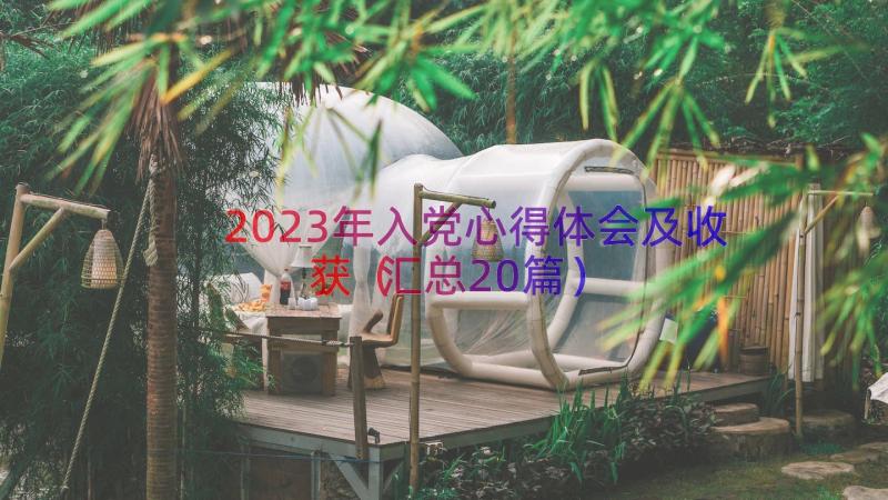 2023年入党心得体会及收获（汇总20篇）