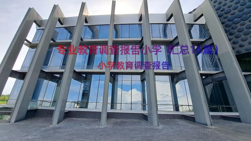 专业教育调查报告小学（汇总16篇）