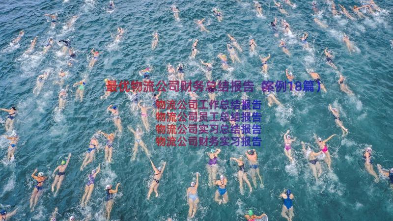 最优物流公司财务总结报告（案例18篇）