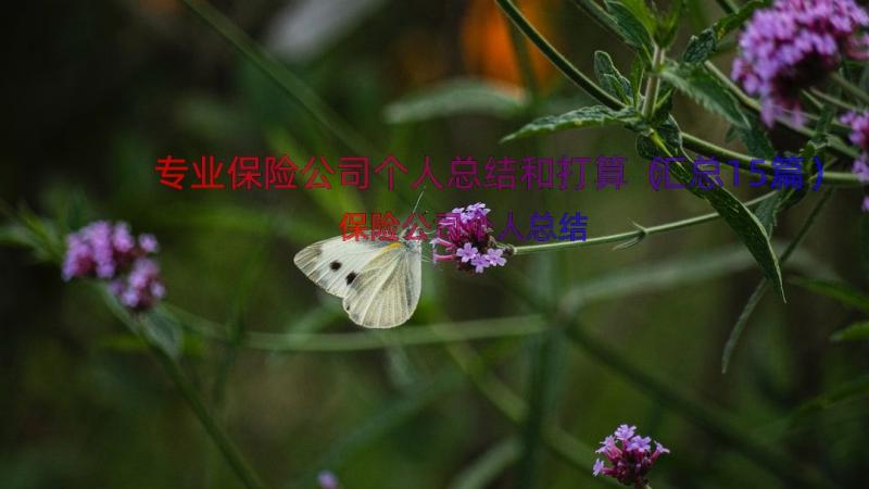 专业保险公司个人总结和打算（汇总15篇）