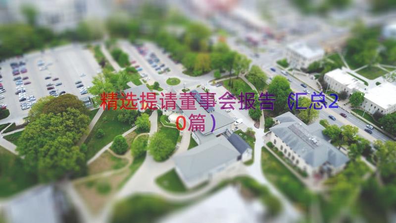 精选提请董事会报告（汇总20篇）