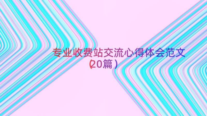 专业收费站交流心得体会范文（20篇）