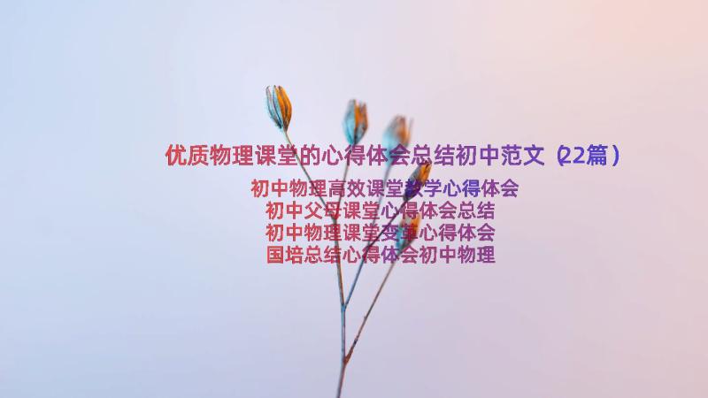 优质物理课堂的心得体会总结初中范文（22篇）