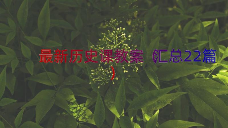 最新历史课教案（汇总22篇）