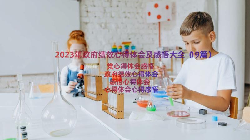 2023年政府绩效心得体会及感悟大全（19篇）