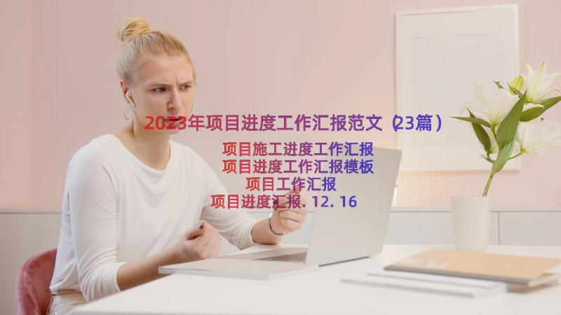 2023年项目进度工作汇报范文（23篇）