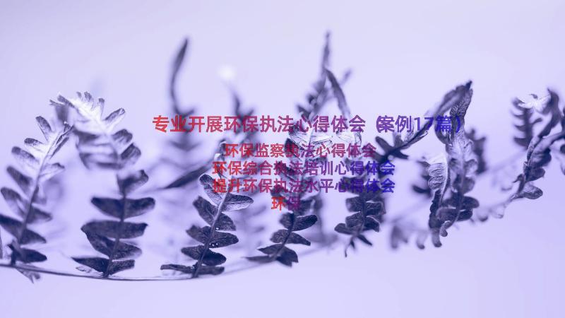 专业开展环保执法心得体会（案例17篇）