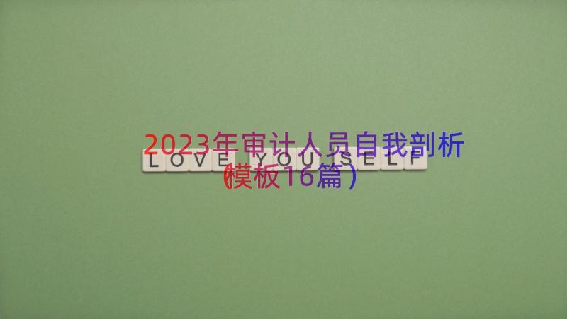 2023年审计人员自我剖析（模板16篇）