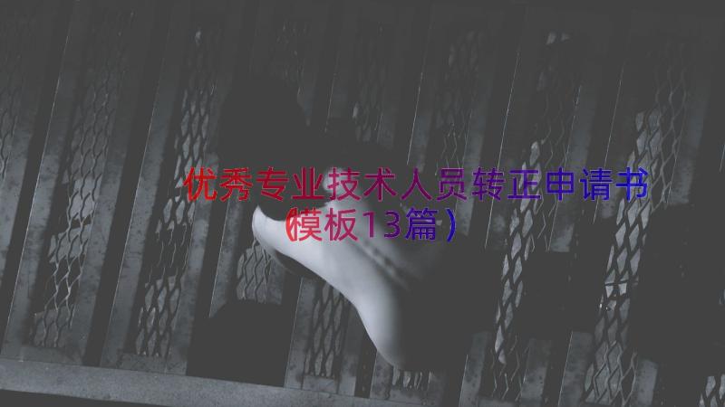 优秀专业技术人员转正申请书（模板13篇）