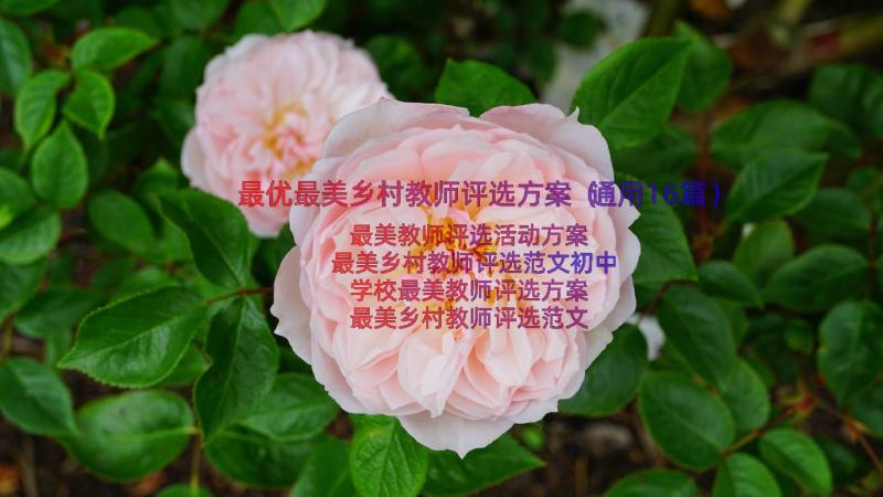 最优最美乡村教师评选方案（通用16篇）