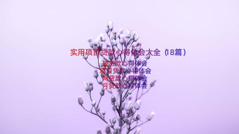 实用项目贷款心得体会大全（18篇）