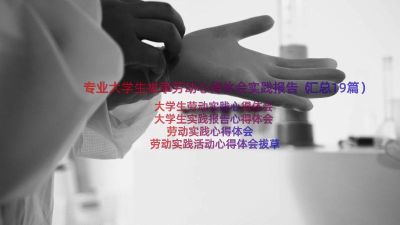 专业大学生拔草劳动心得体会实践报告（汇总19篇）