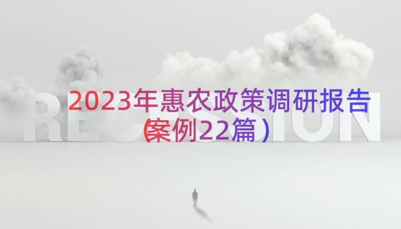 2023年惠农政策调研报告（案例22篇）