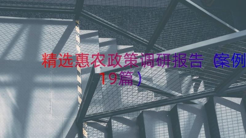 精选惠农政策调研报告（案例19篇）