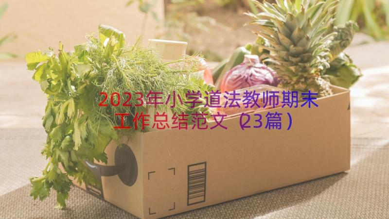 2023年小学道法教师期末工作总结范文（23篇）